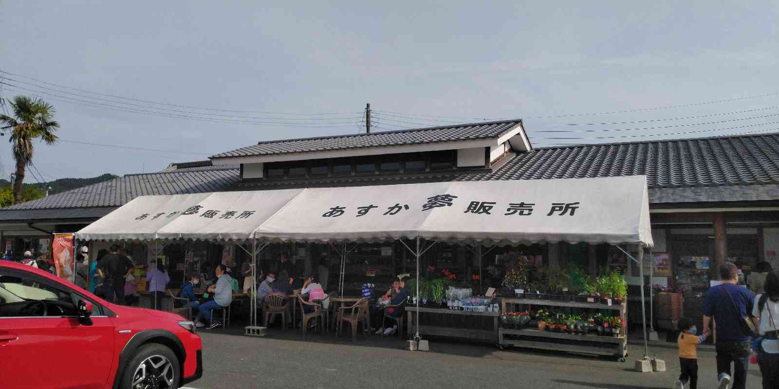 投稿された画像