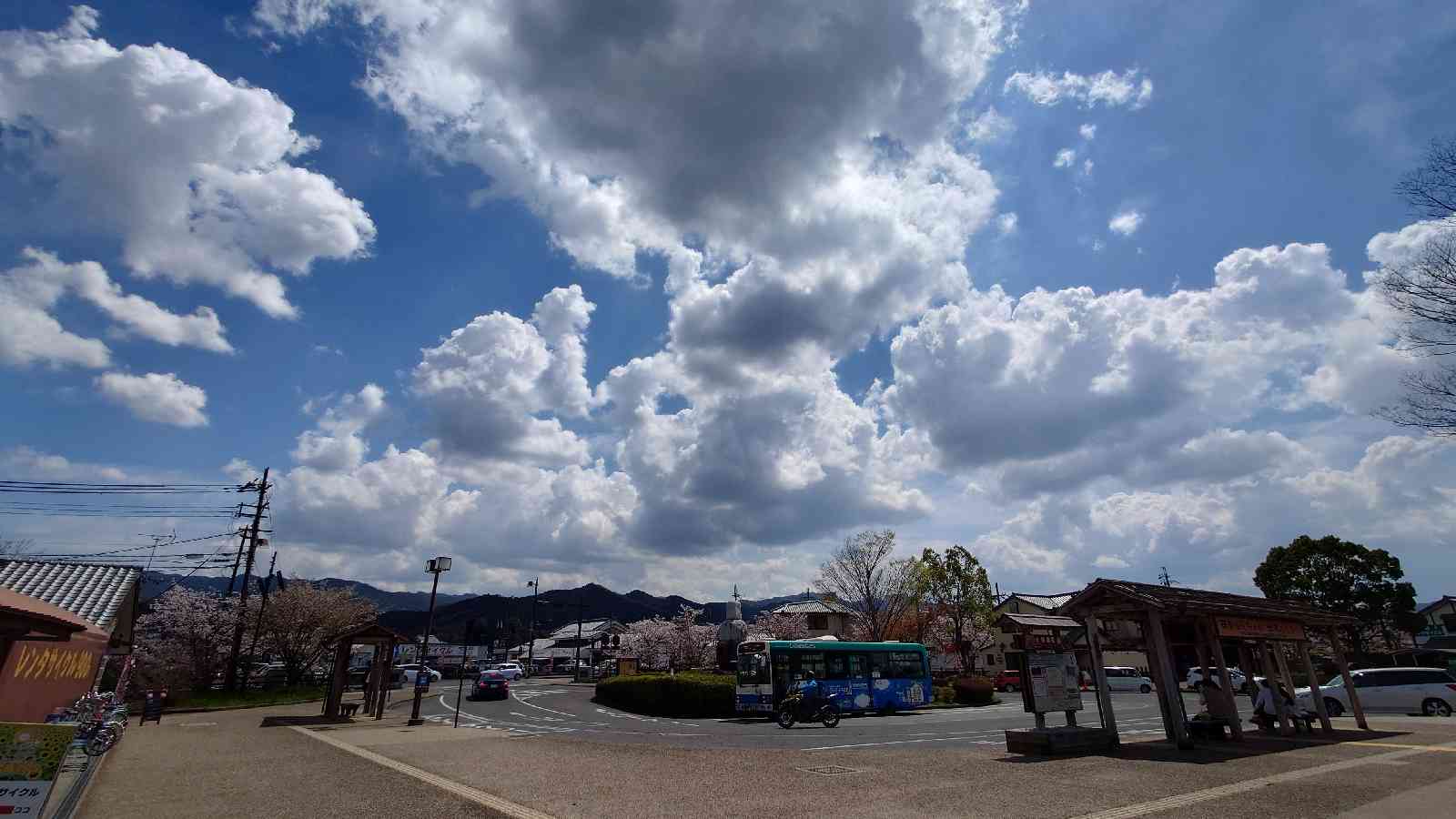 投稿された画像