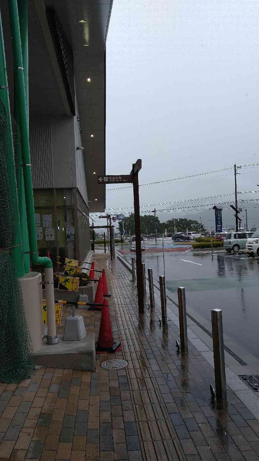 投稿された画像