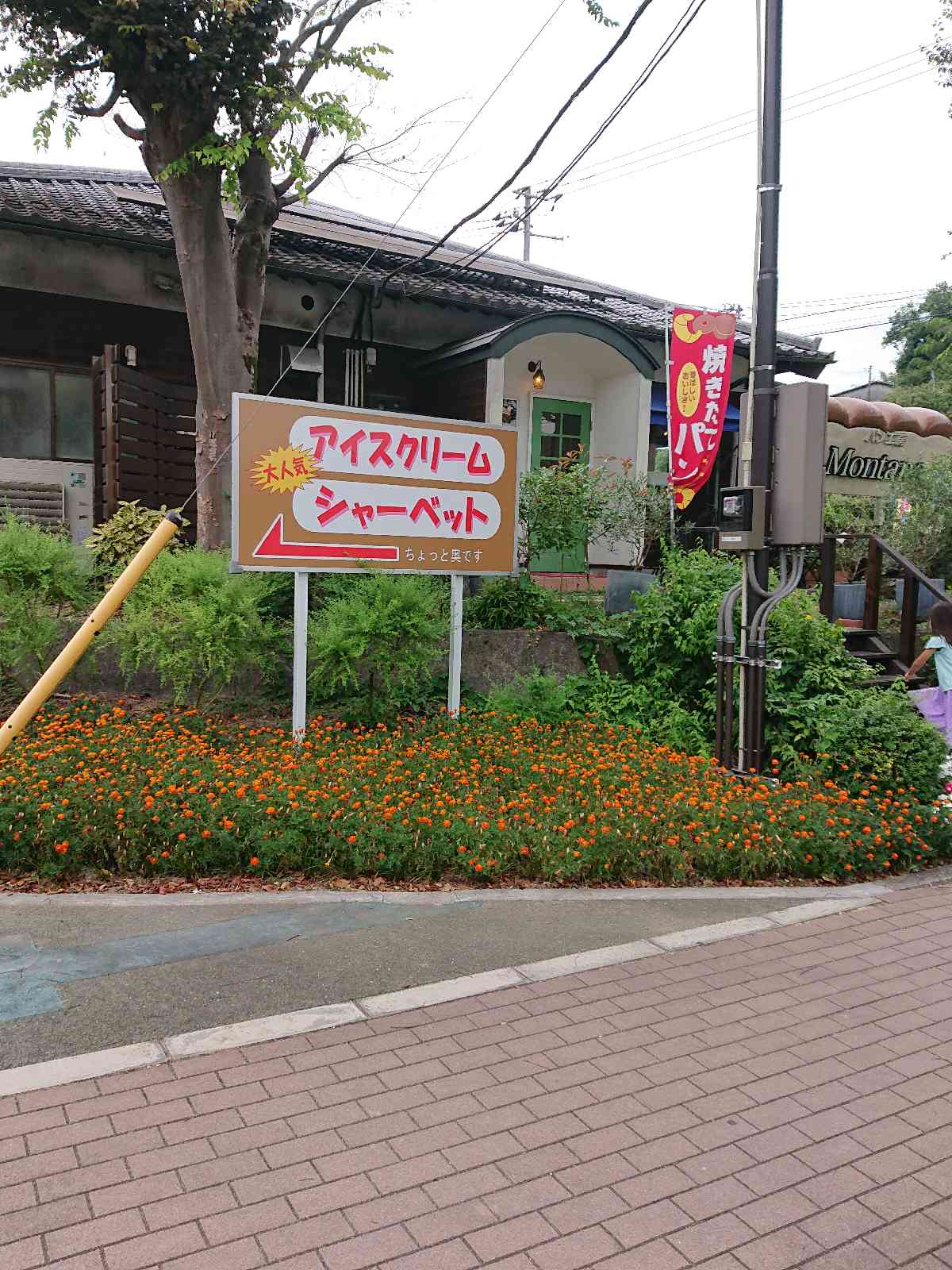 投稿された画像