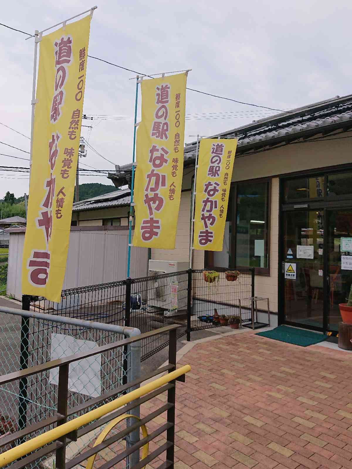 投稿された画像
