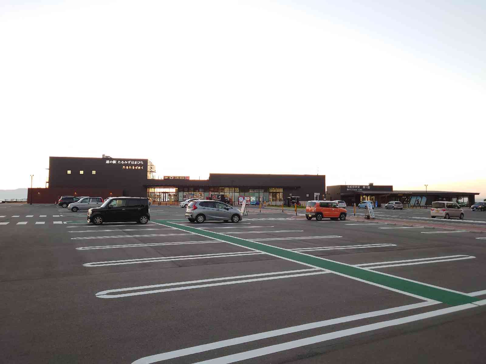 投稿された画像