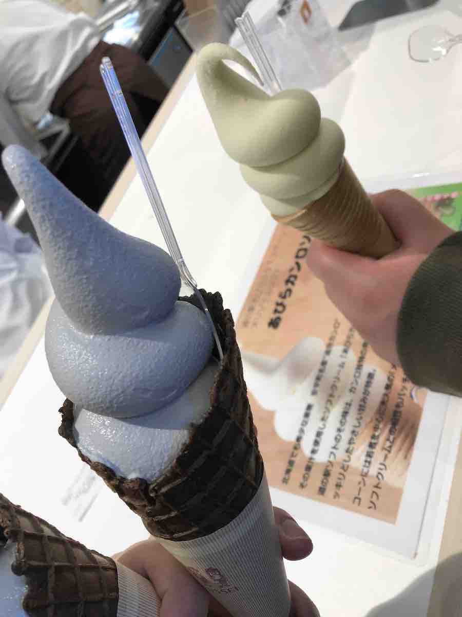 投稿された画像