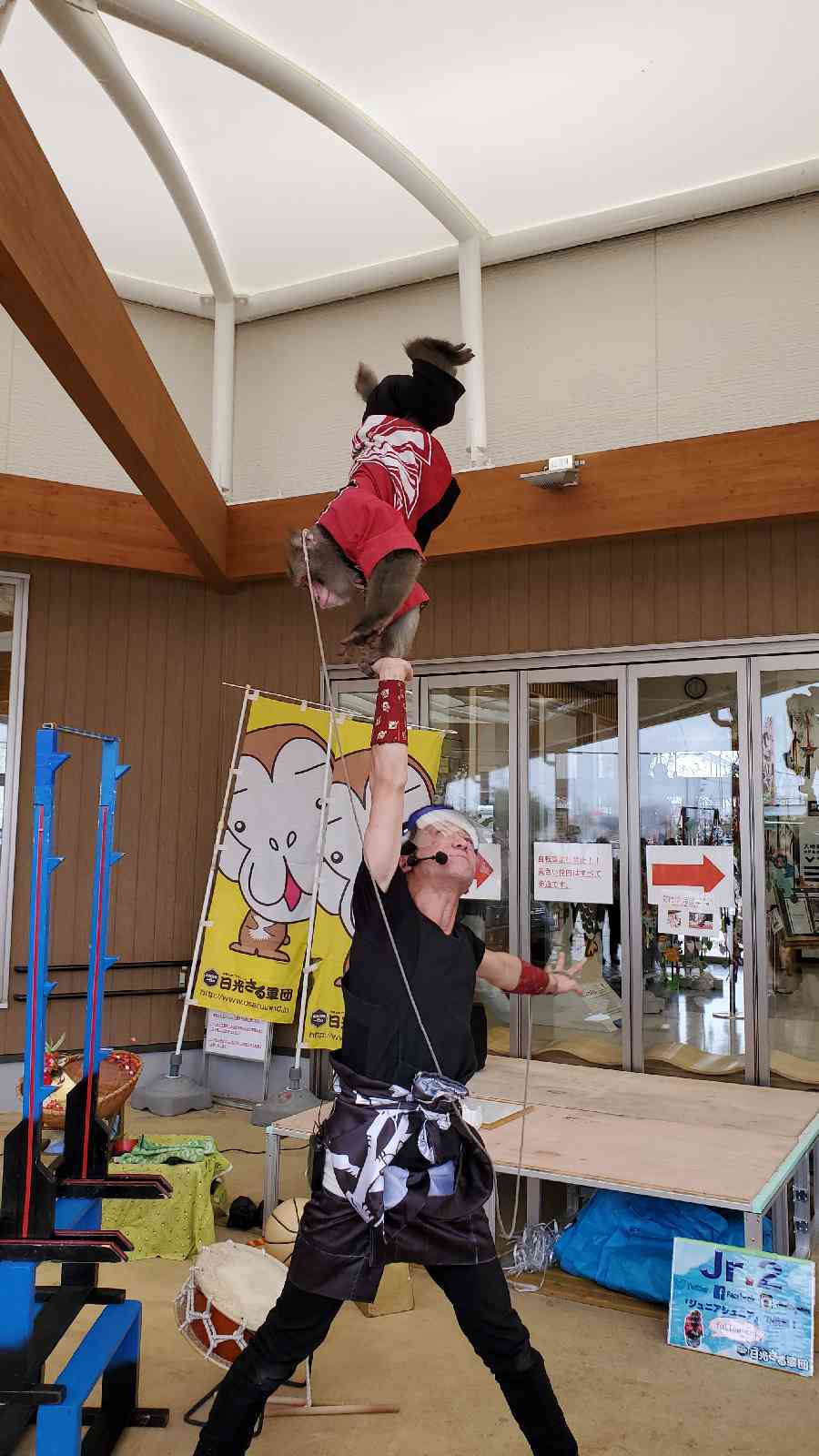 投稿された画像