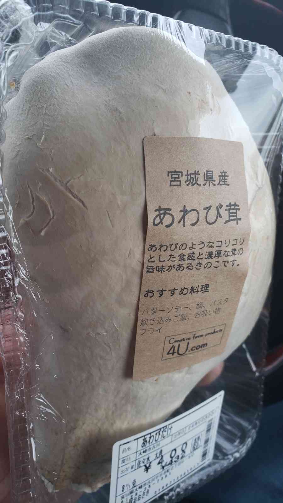 道の駅 おおさきの写真