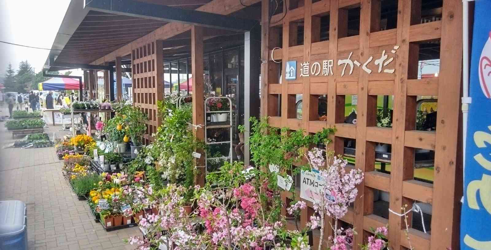 道の駅 かくだの写真