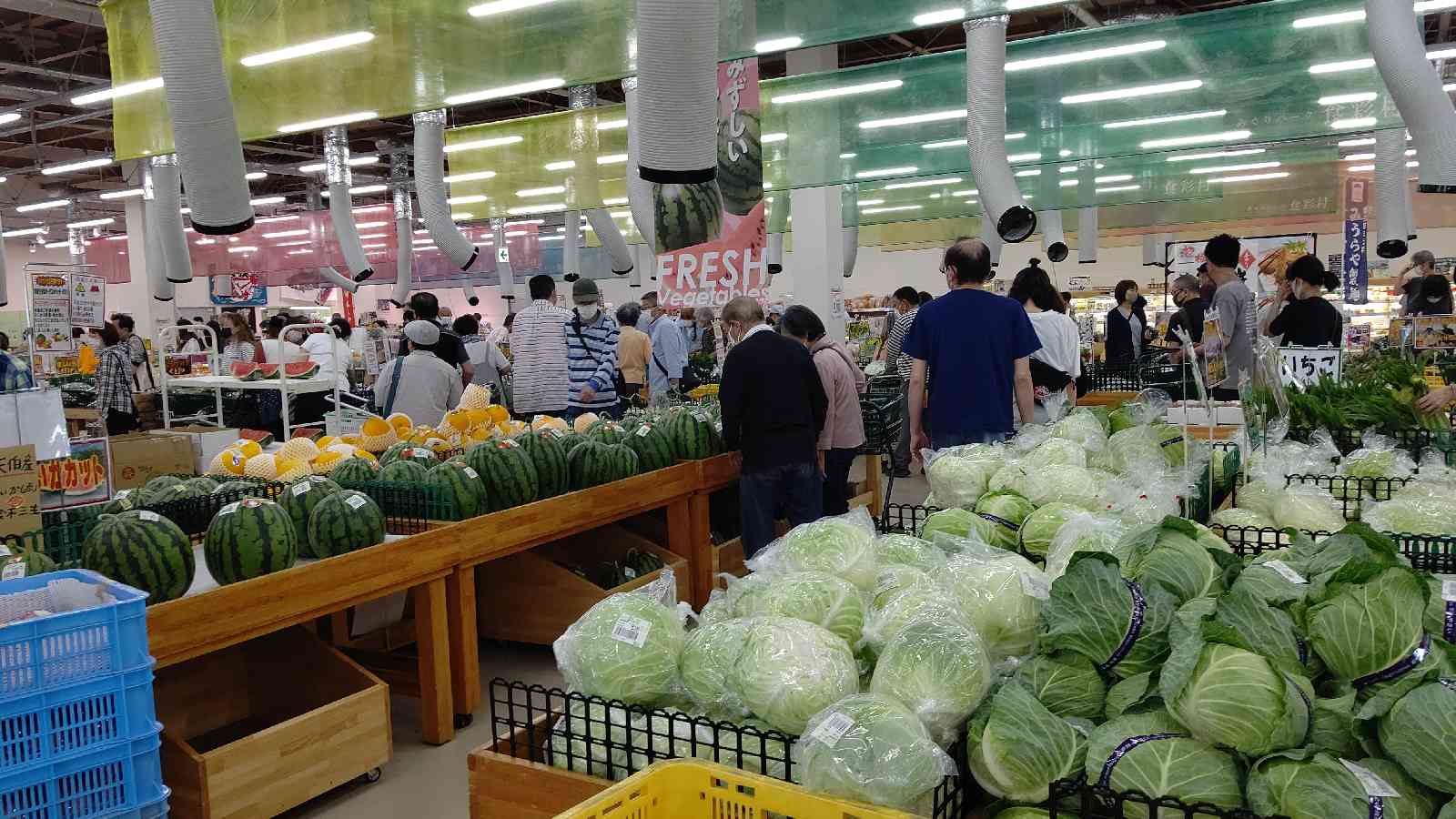 投稿された画像