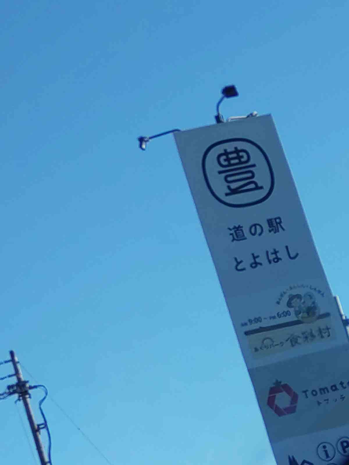 投稿された画像