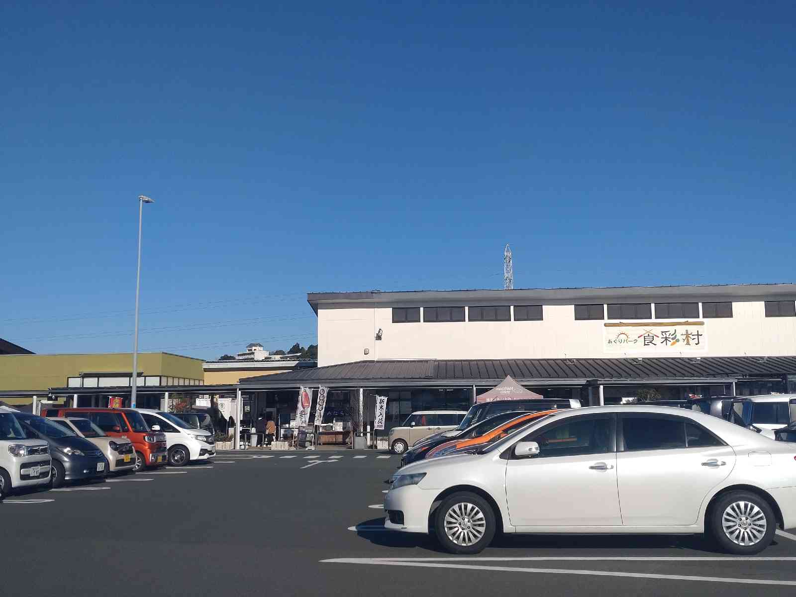 投稿された画像