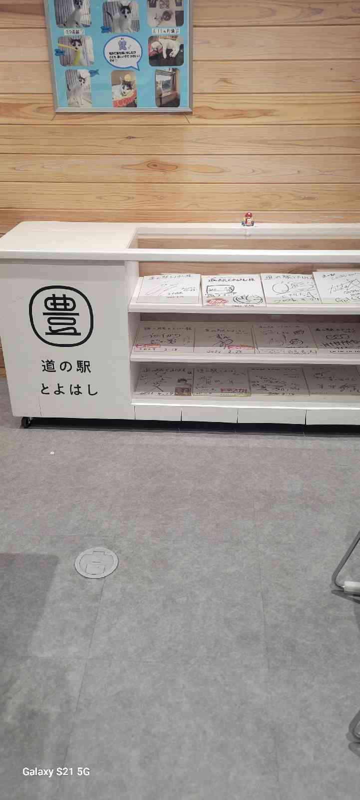 道の駅 とよはしの写真