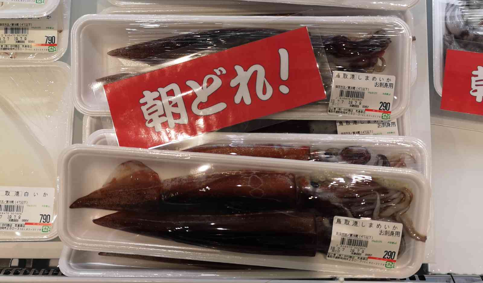 投稿された画像