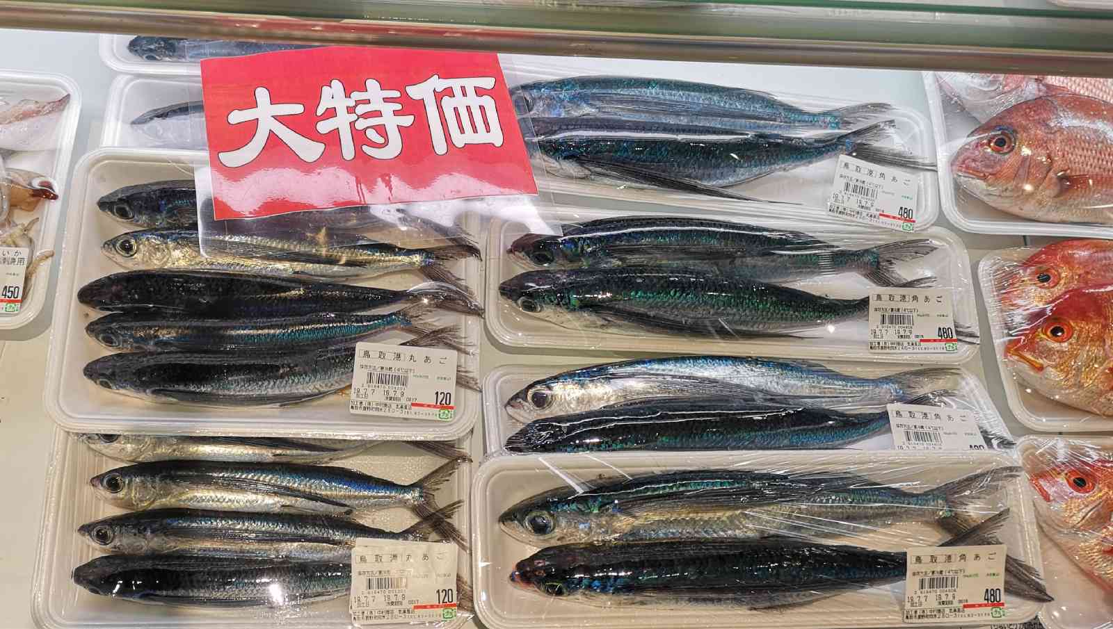 投稿された画像