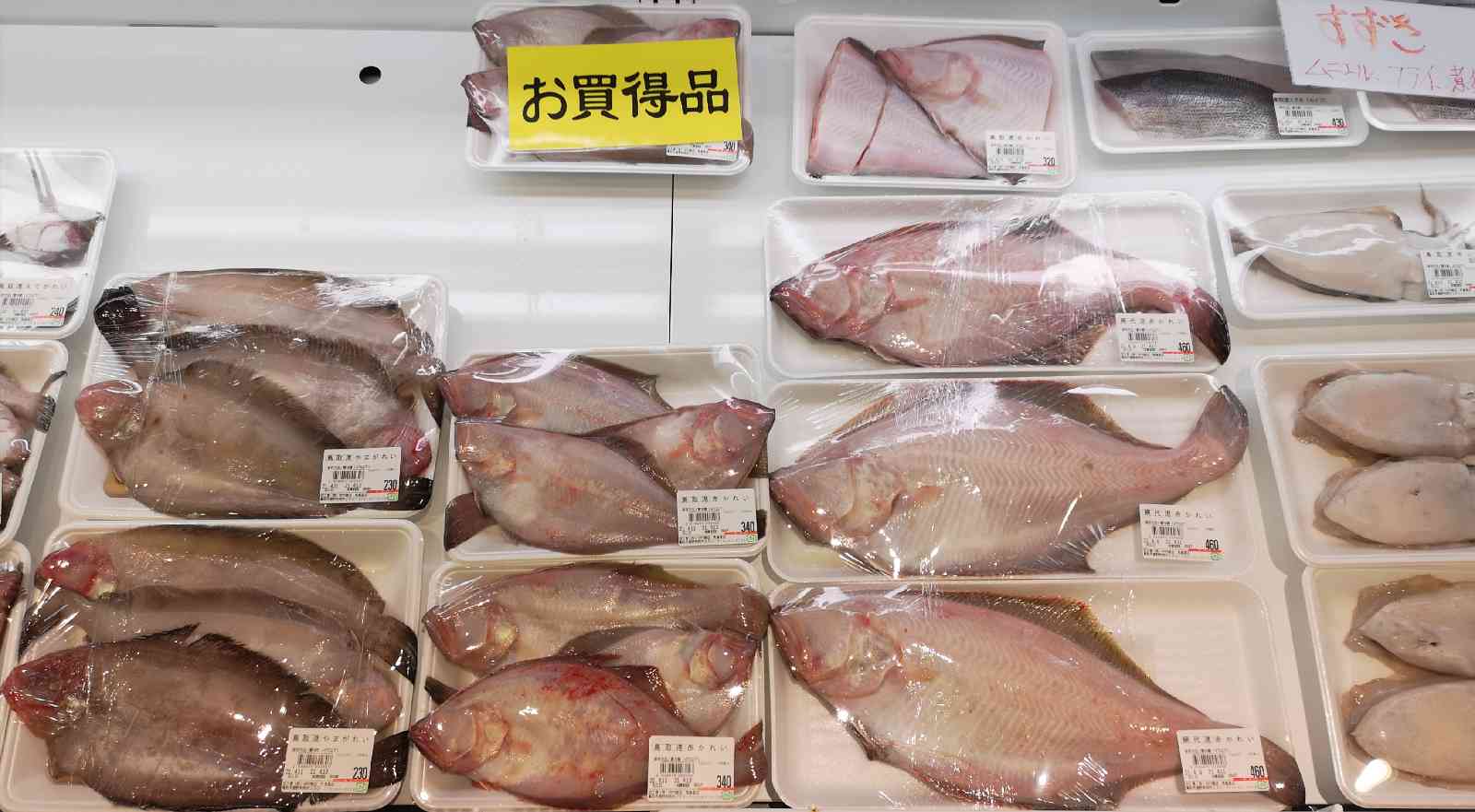 投稿された画像