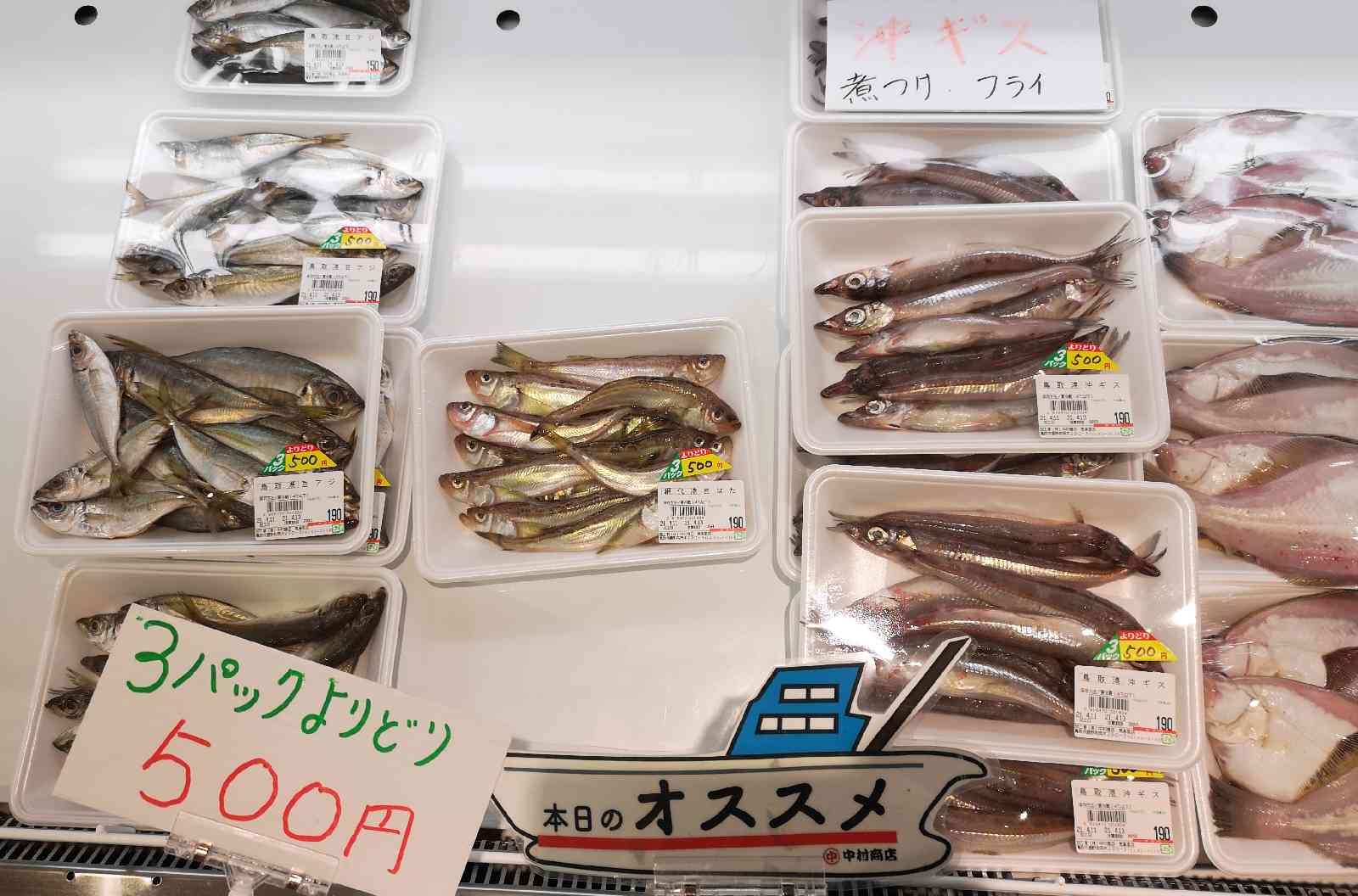 投稿された画像