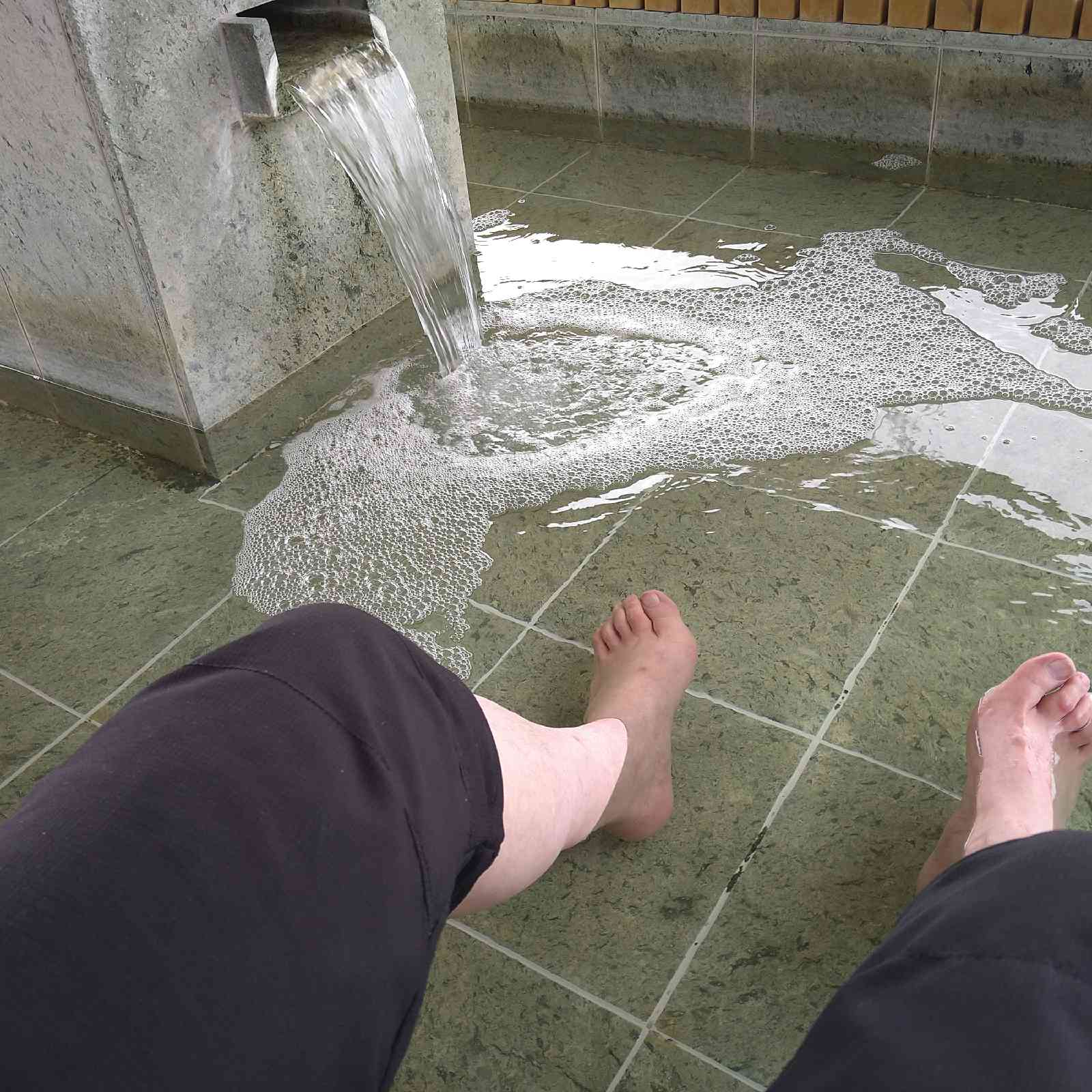 投稿された画像