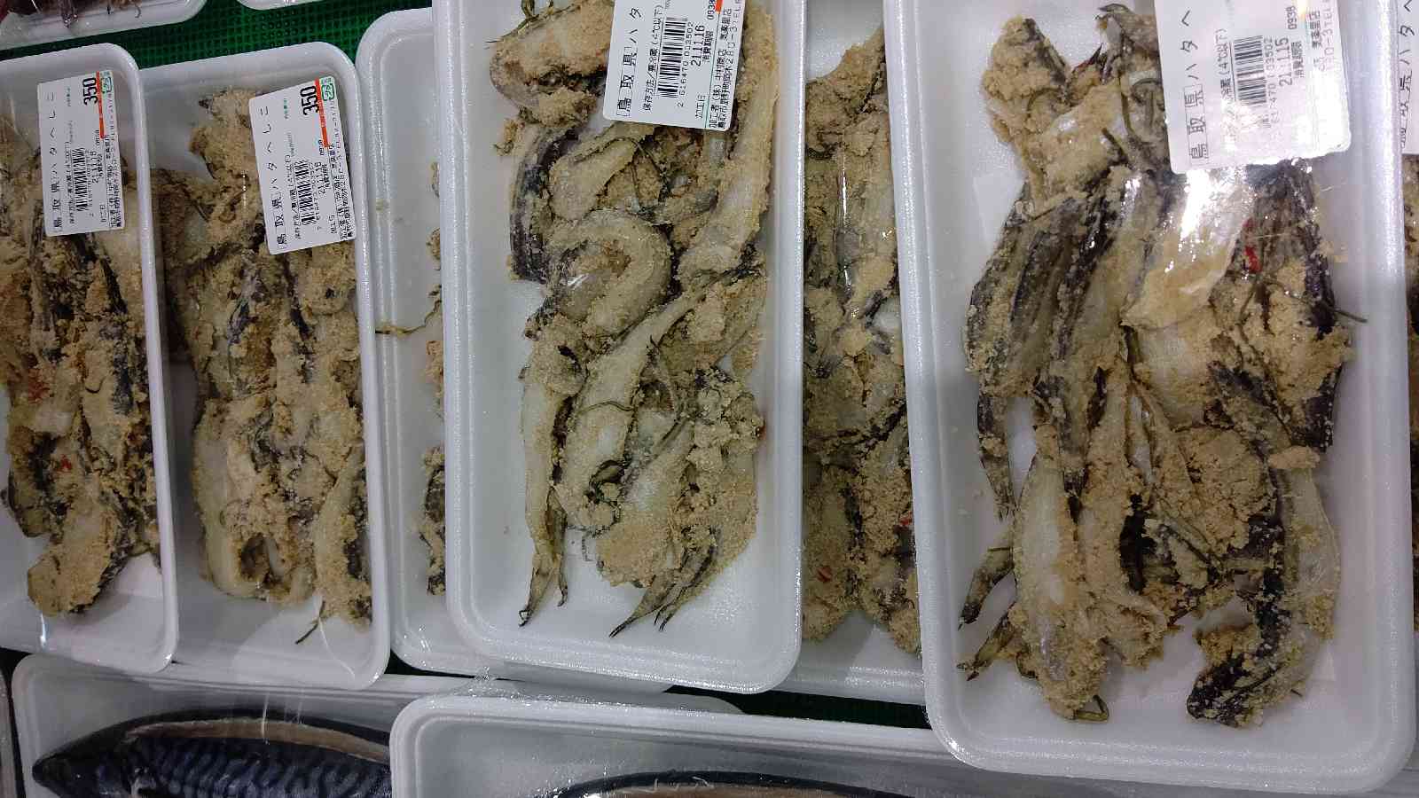 投稿された画像