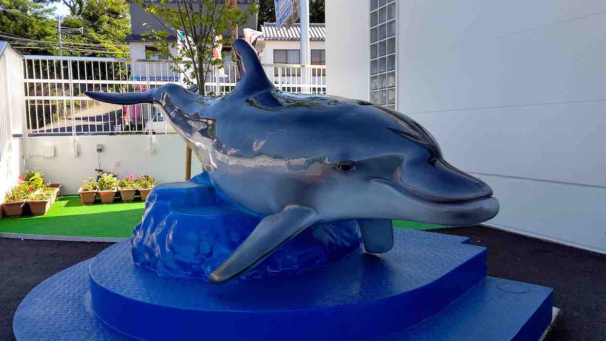 投稿された画像