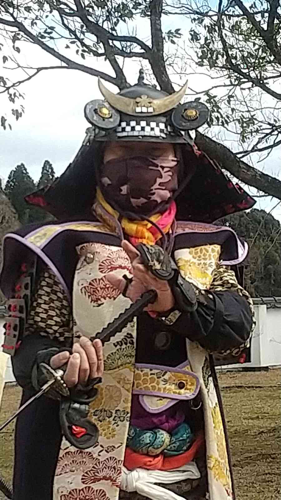 投稿された画像
