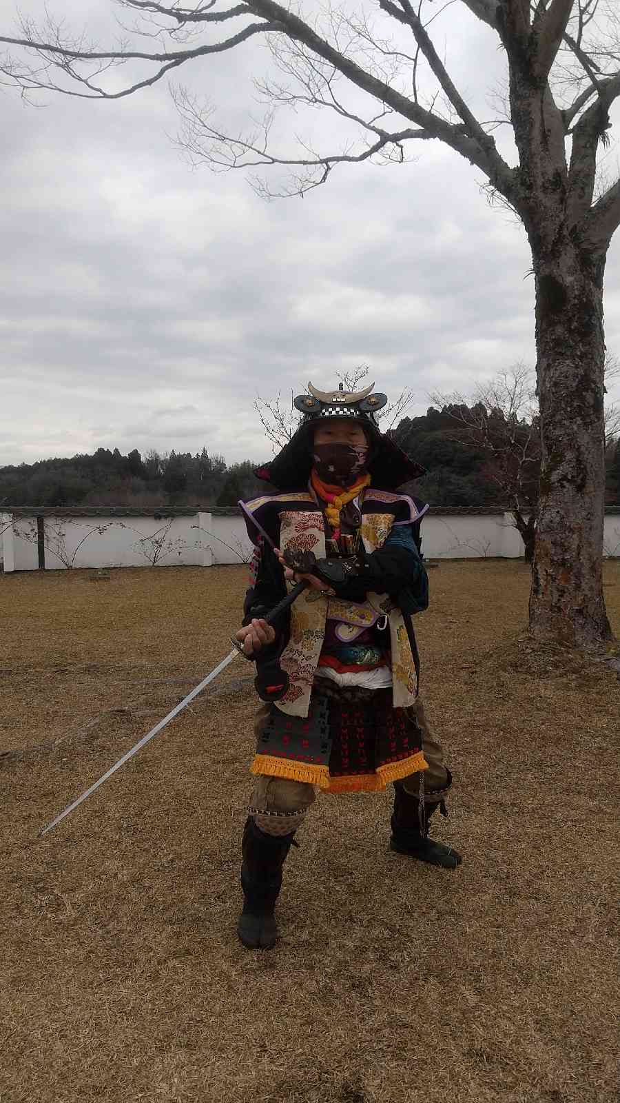 投稿された画像