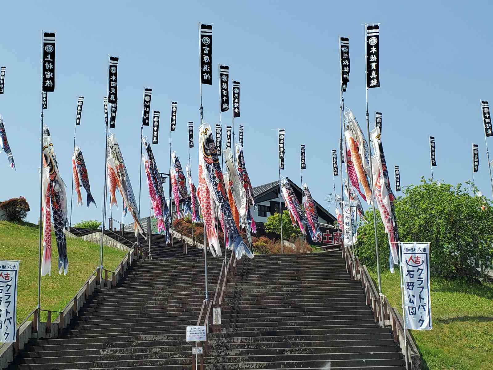 投稿された画像