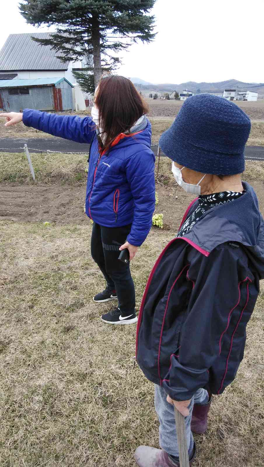 投稿された画像