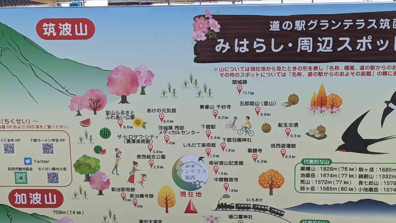 投稿された画像