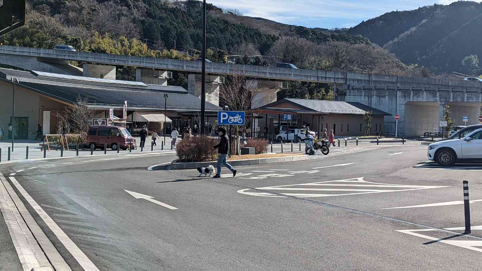 投稿された画像