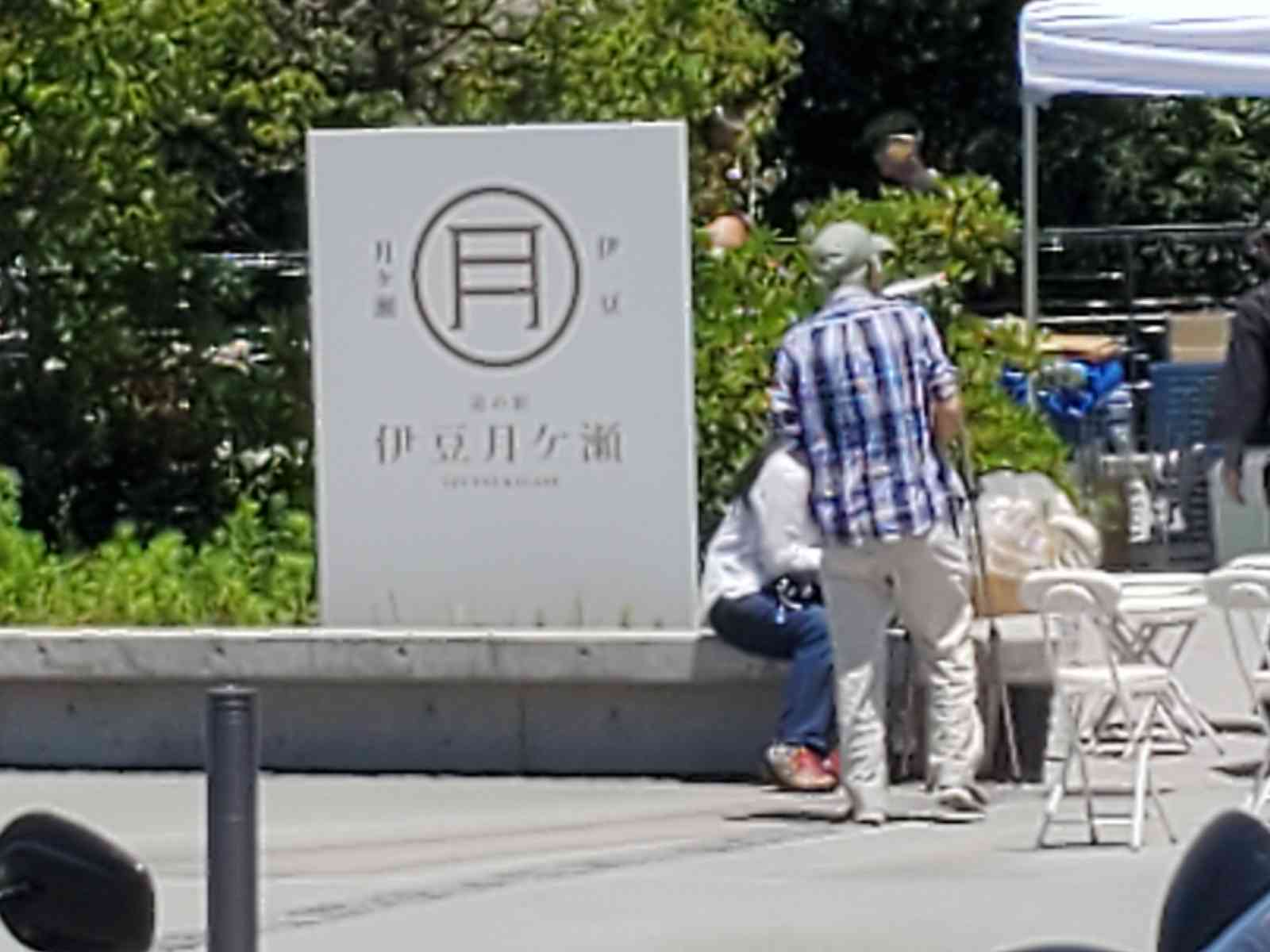 投稿された画像