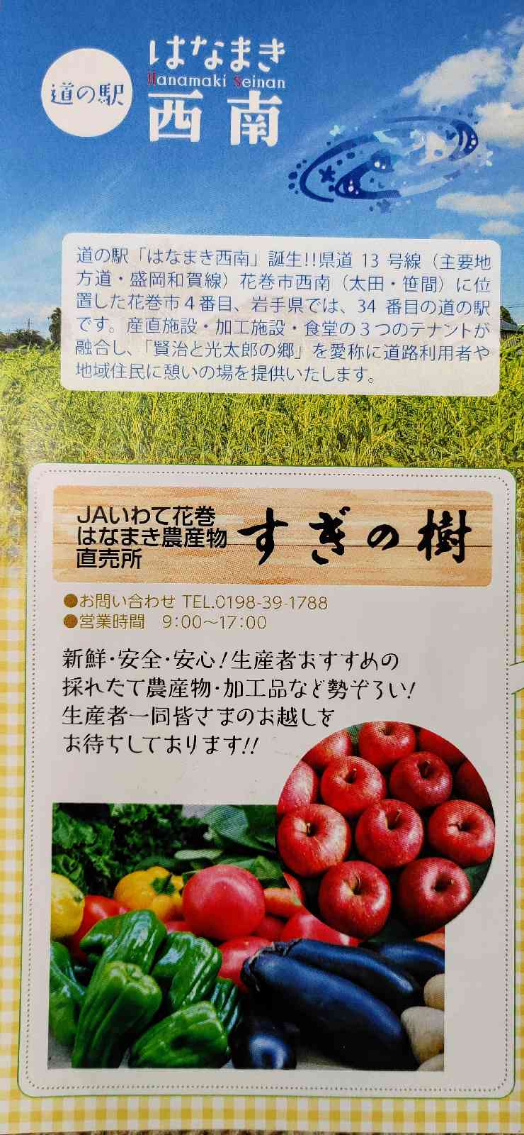 投稿された画像