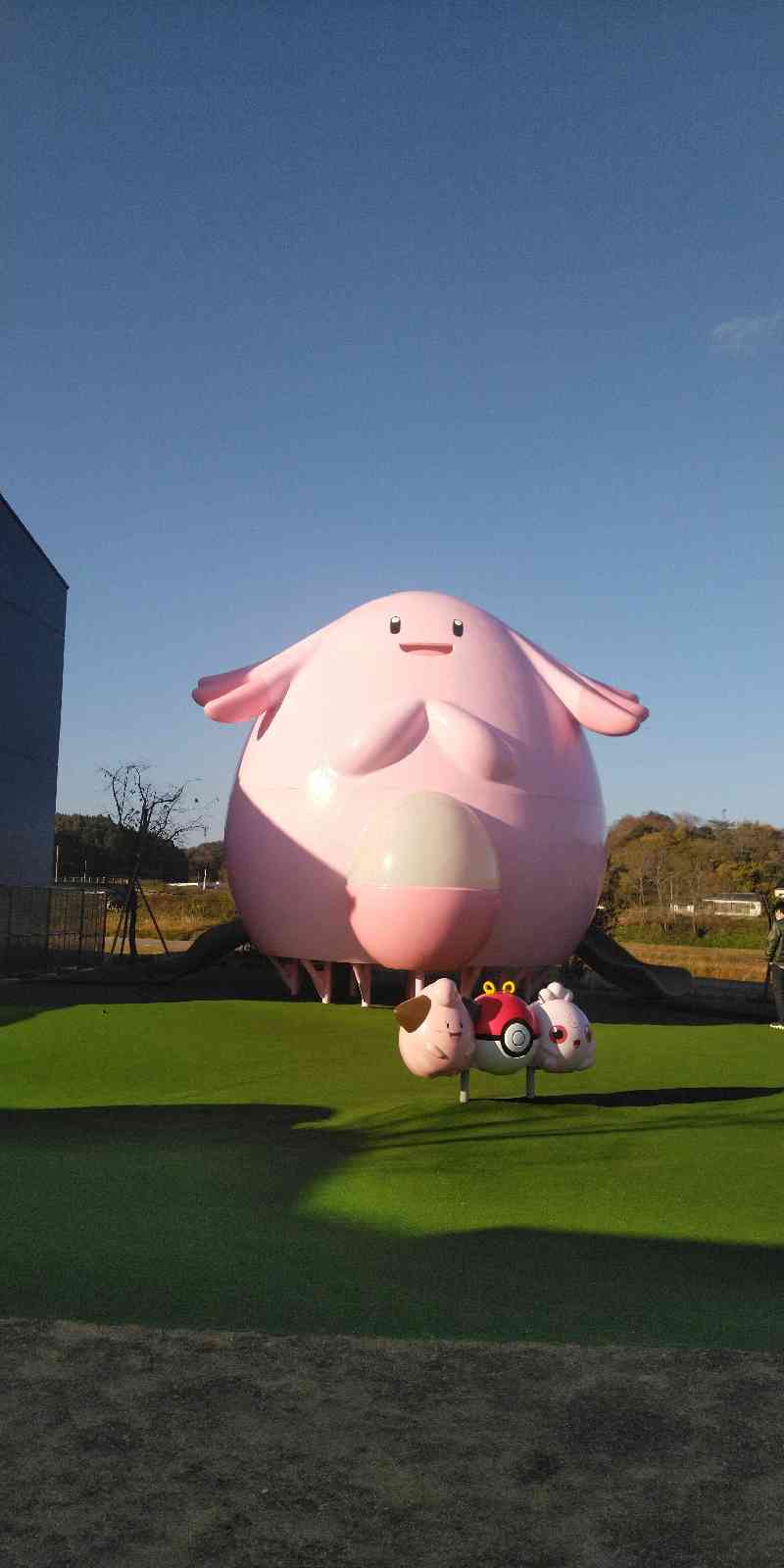 投稿された画像