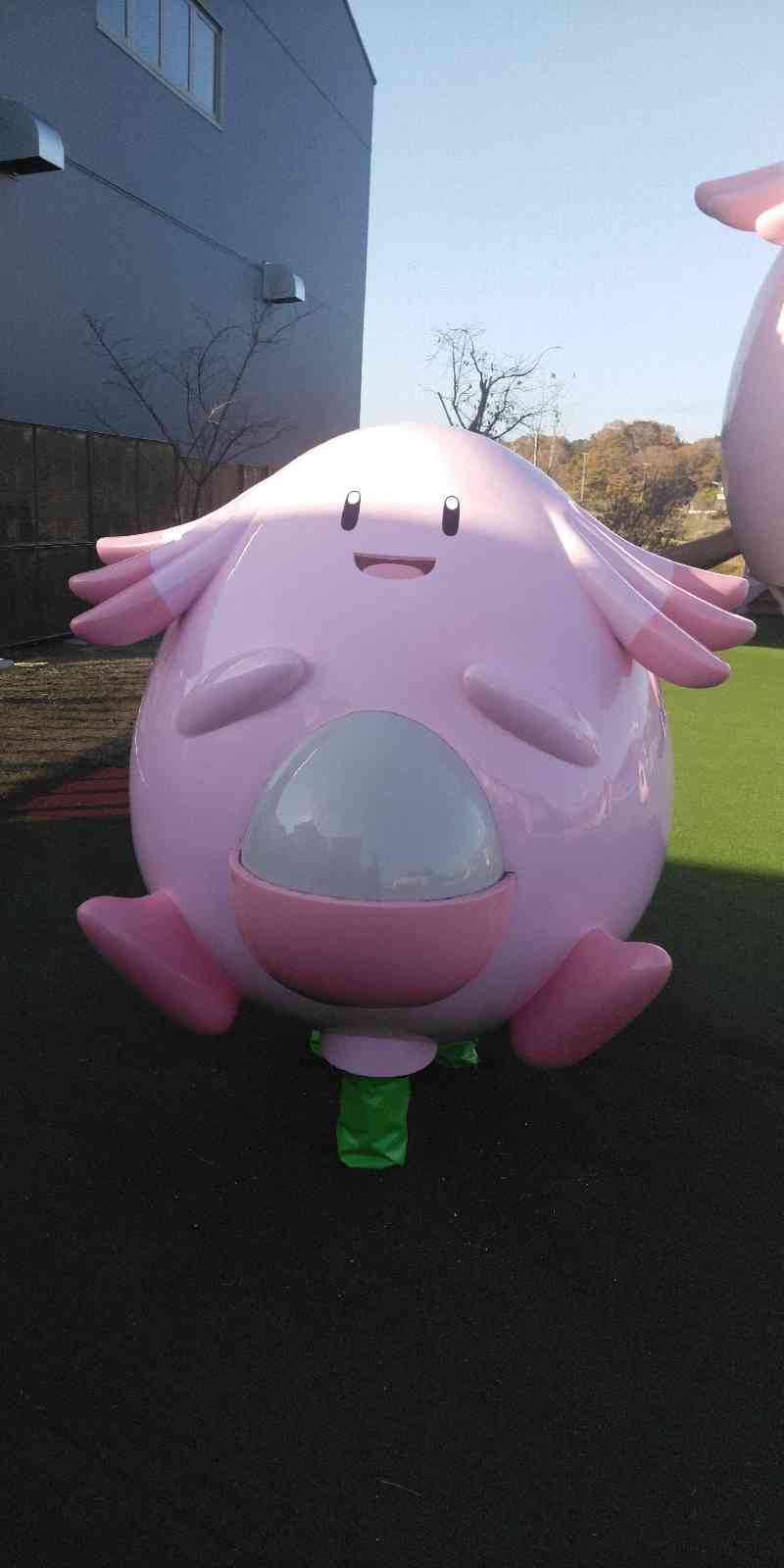 投稿された画像
