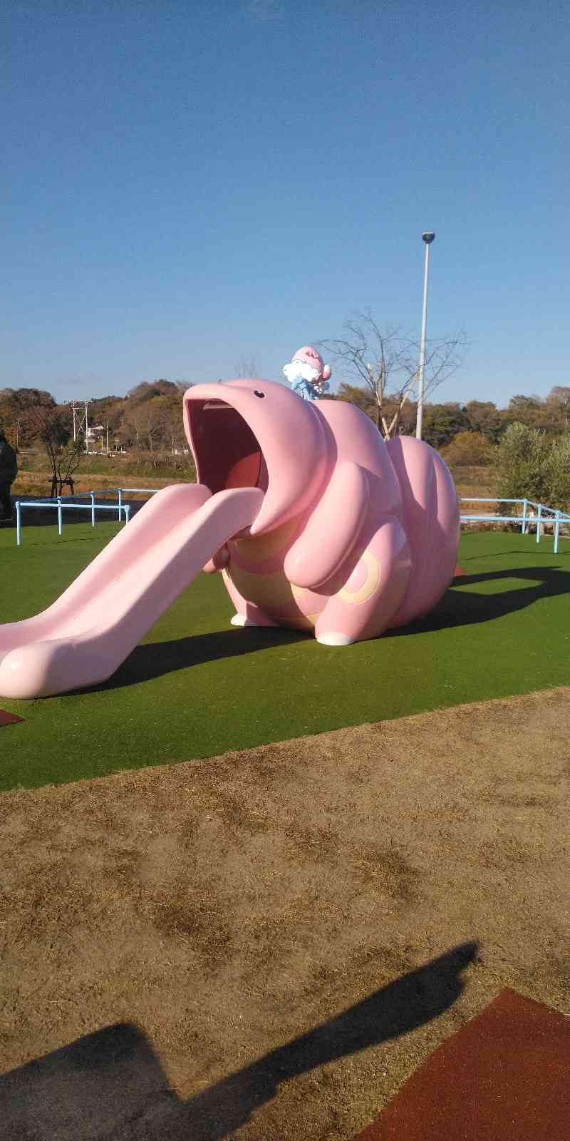 投稿された画像