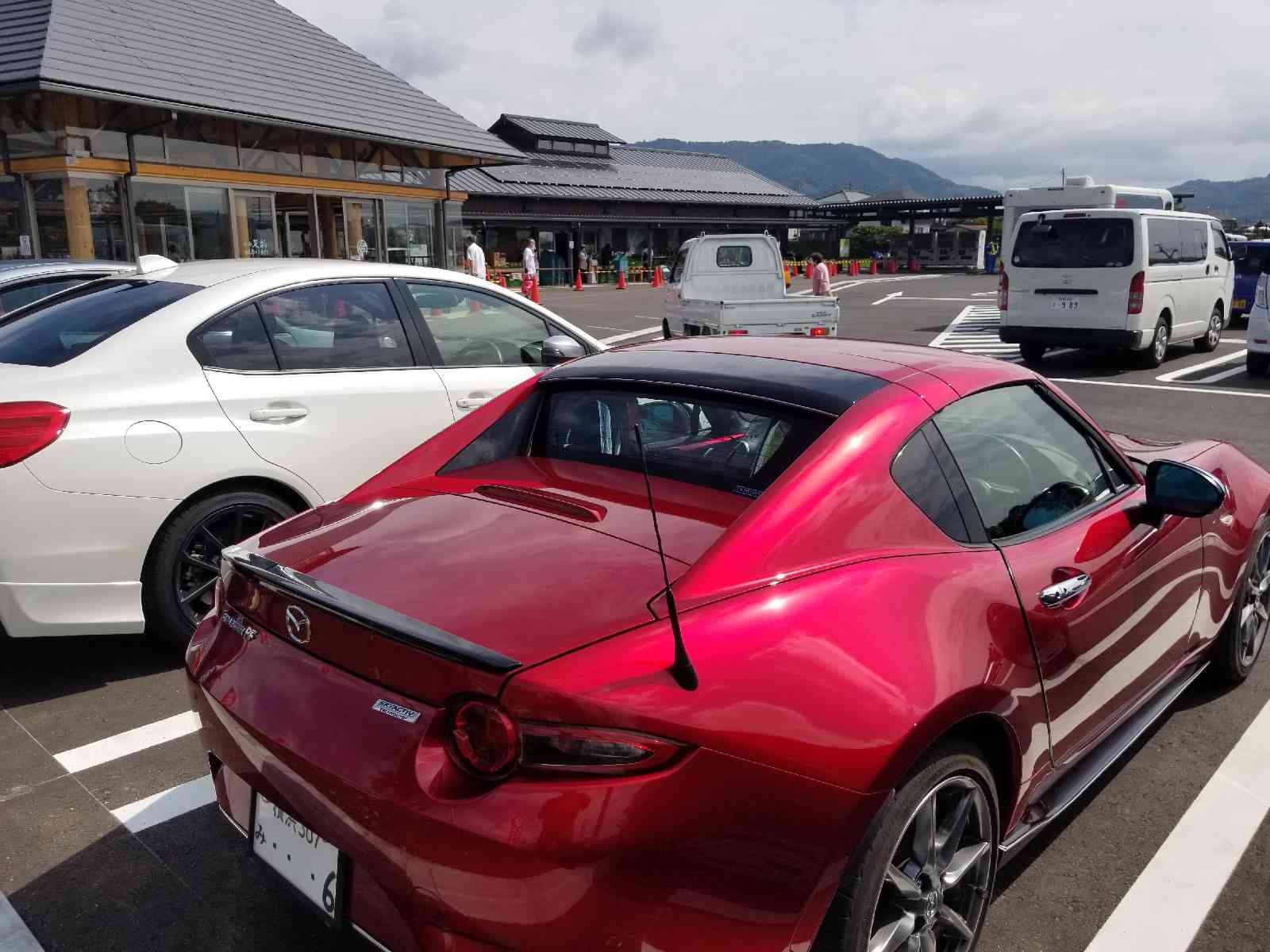 投稿された画像