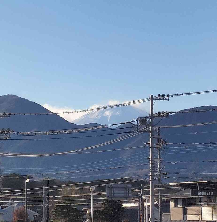 投稿された画像