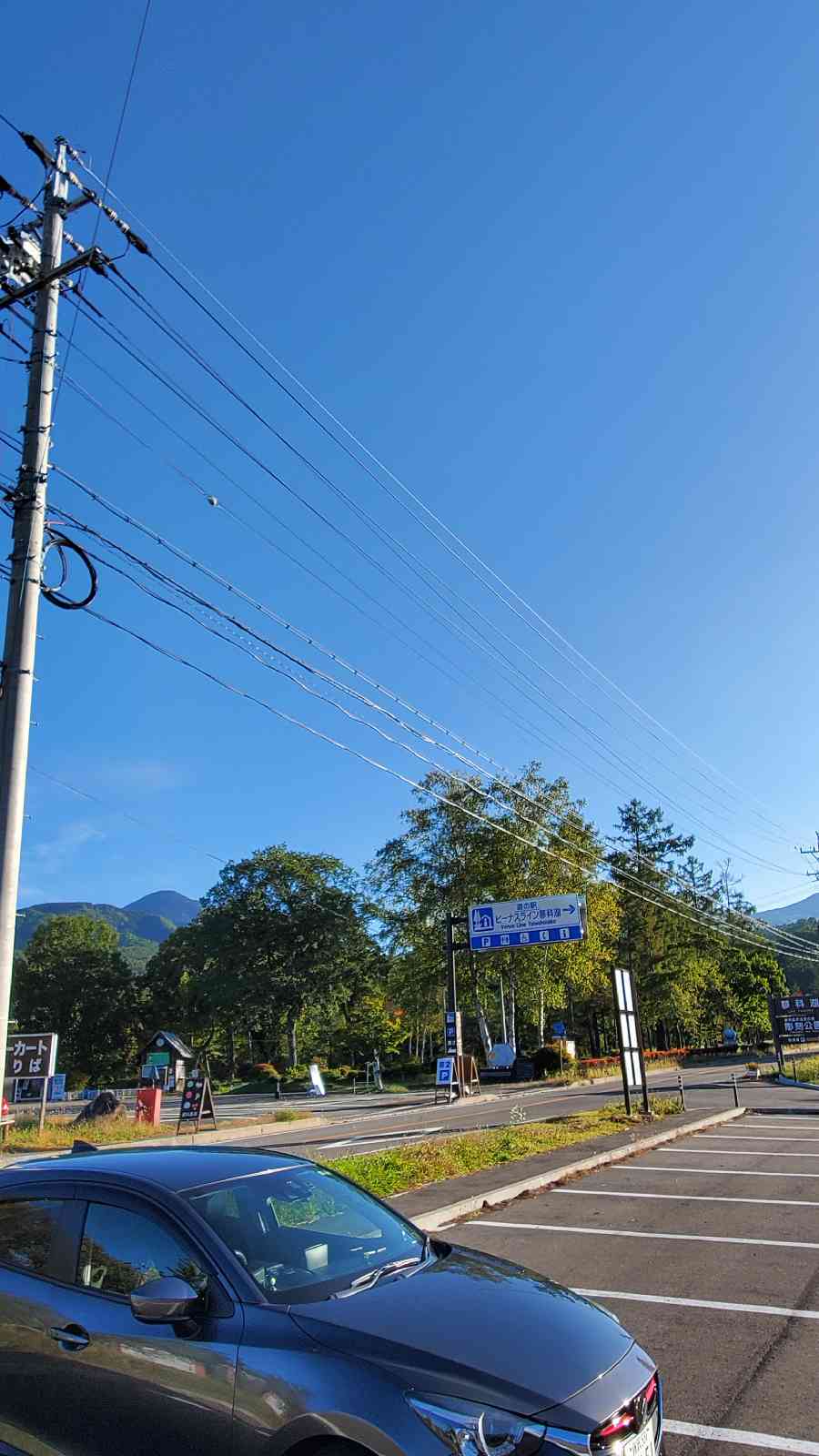 投稿された画像