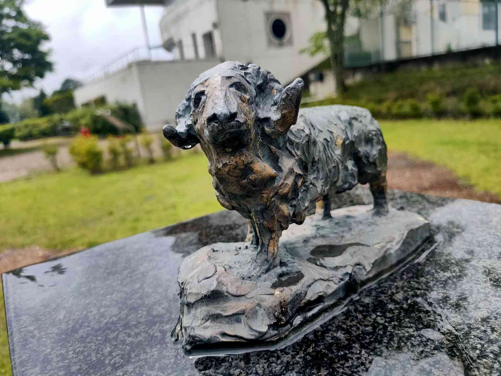 投稿された画像