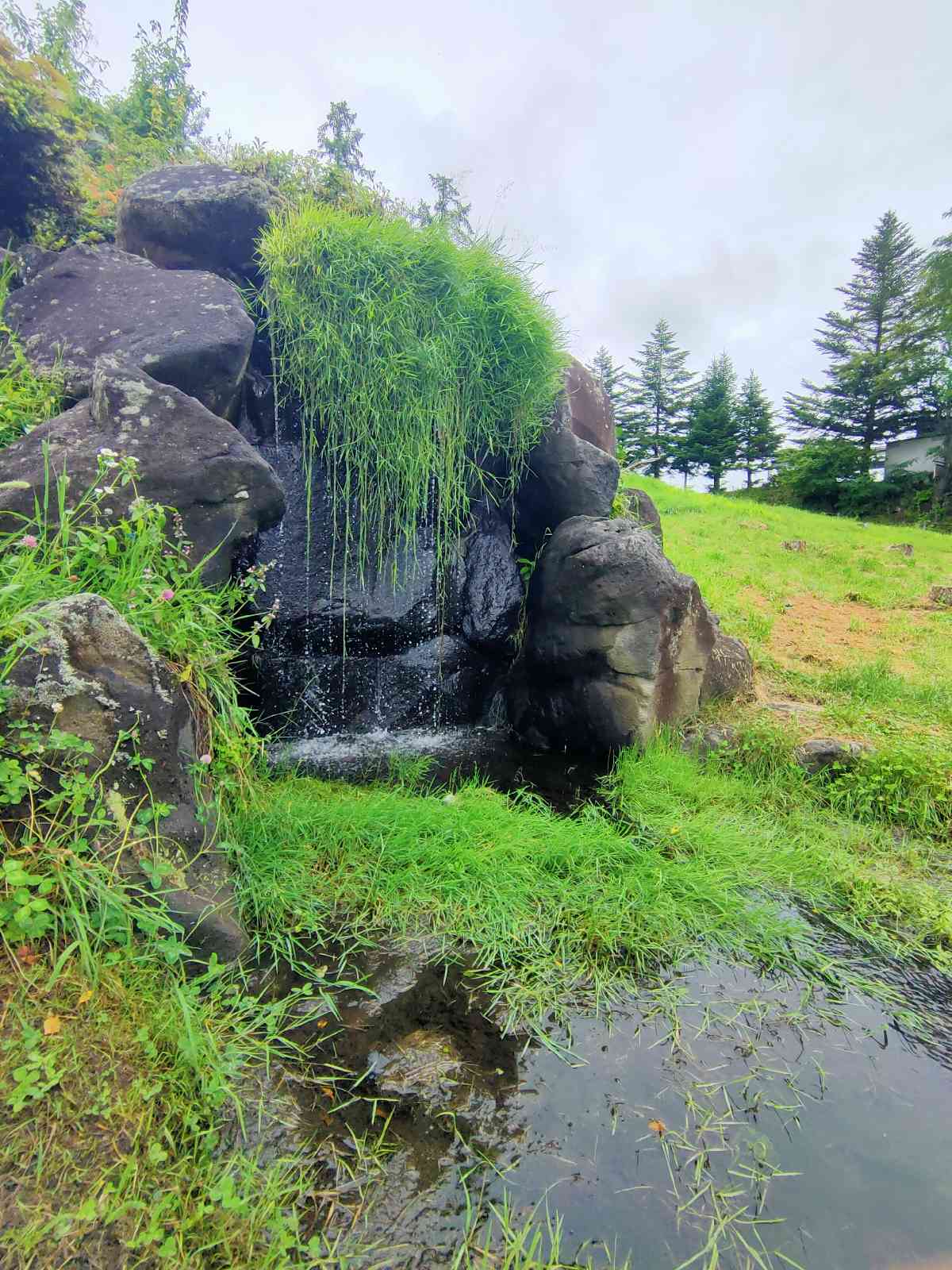 投稿された画像