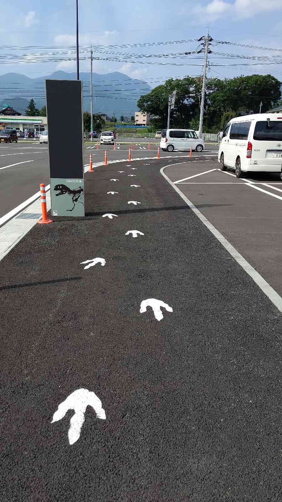 投稿された画像