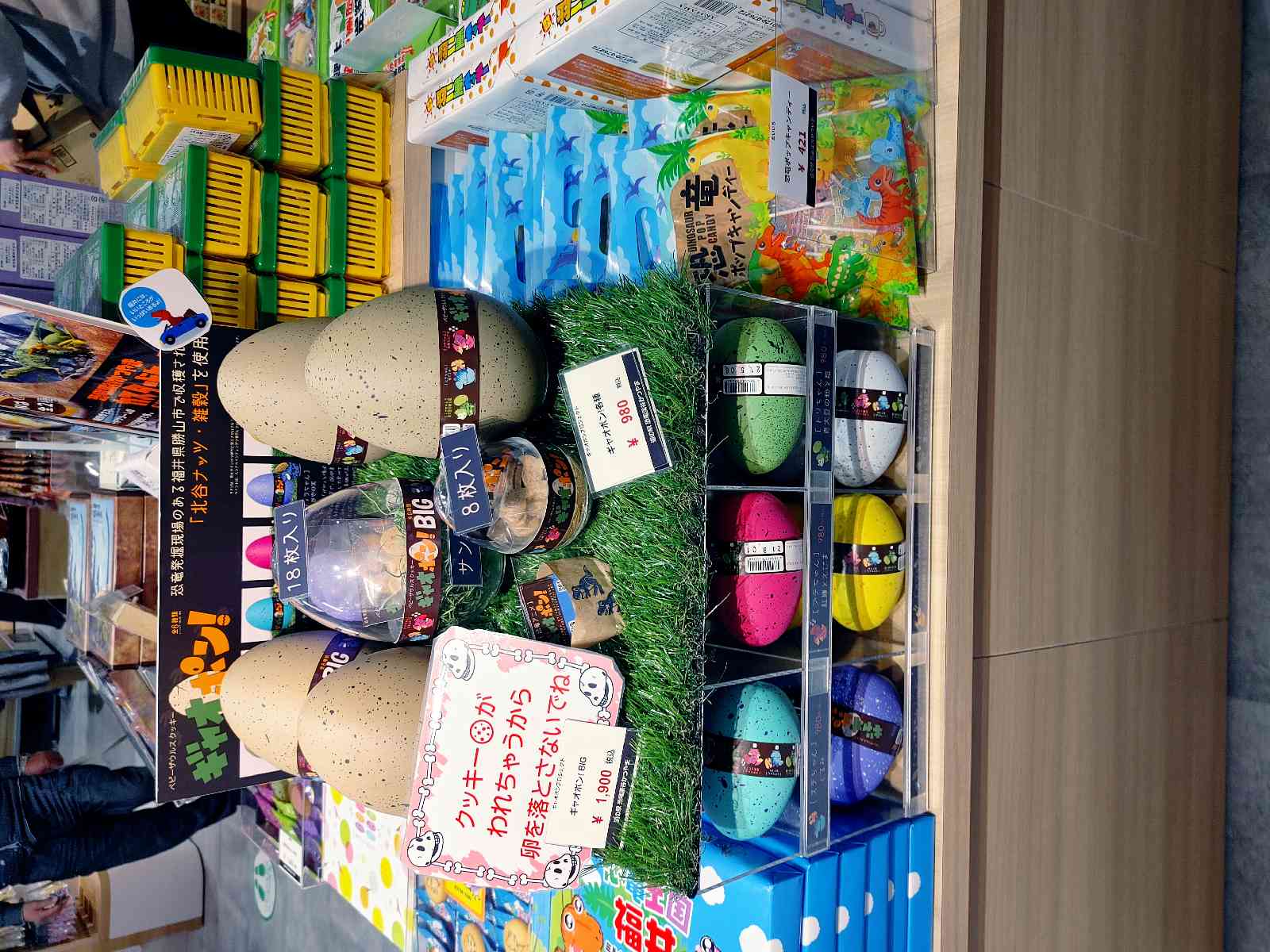 投稿された画像