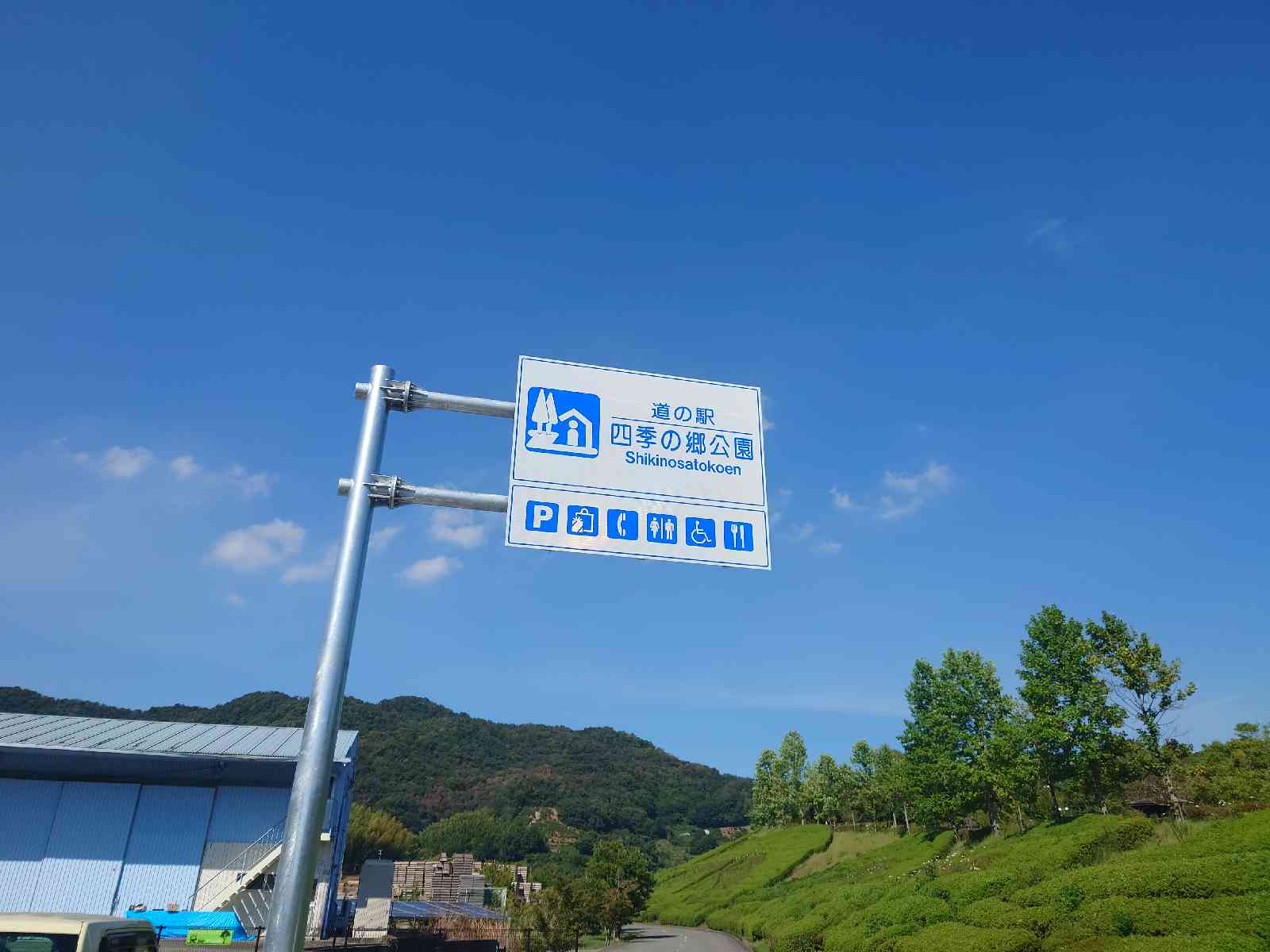 投稿された画像