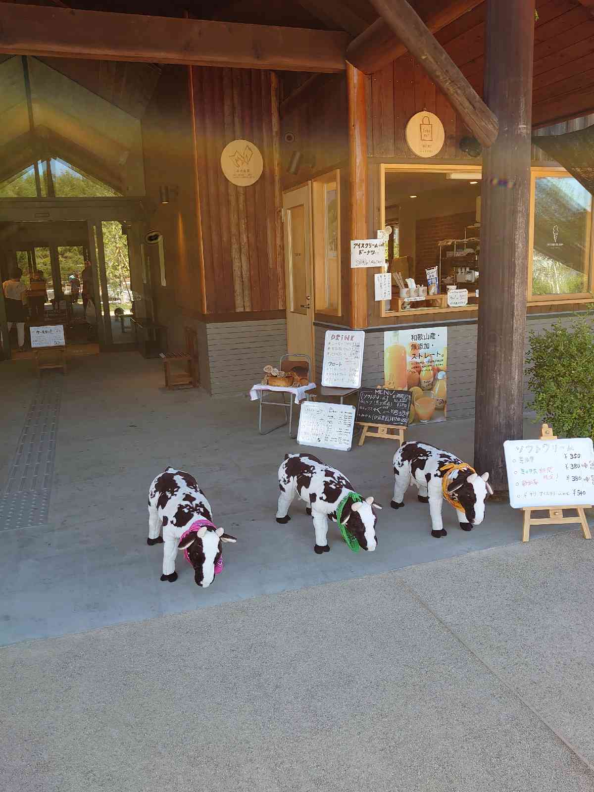 投稿された画像