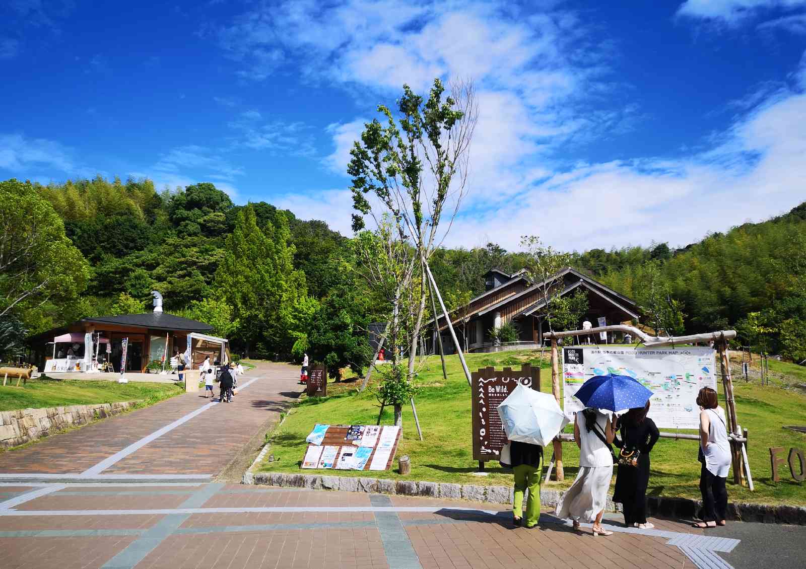投稿された画像