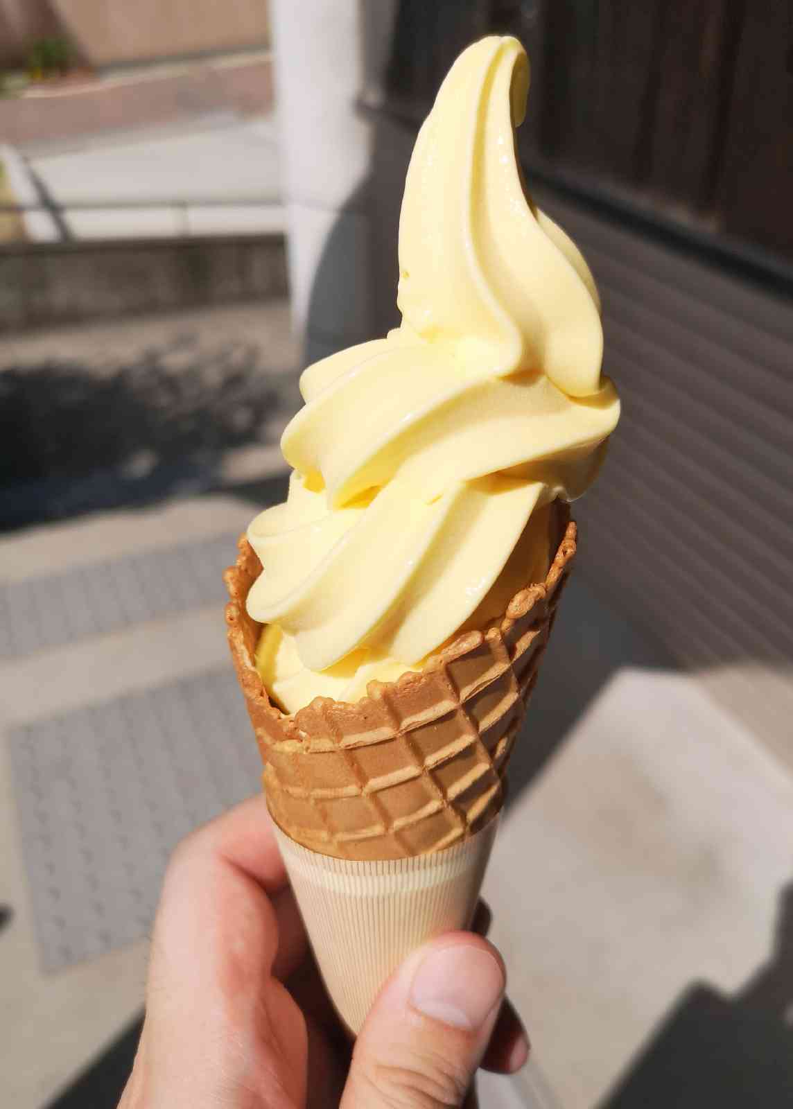 投稿された画像