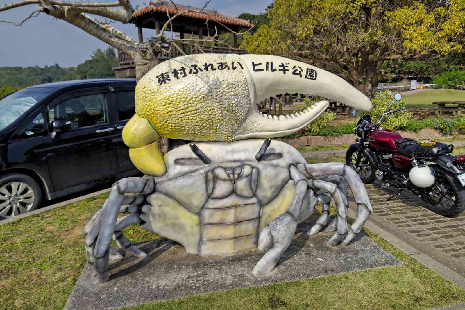 投稿された画像