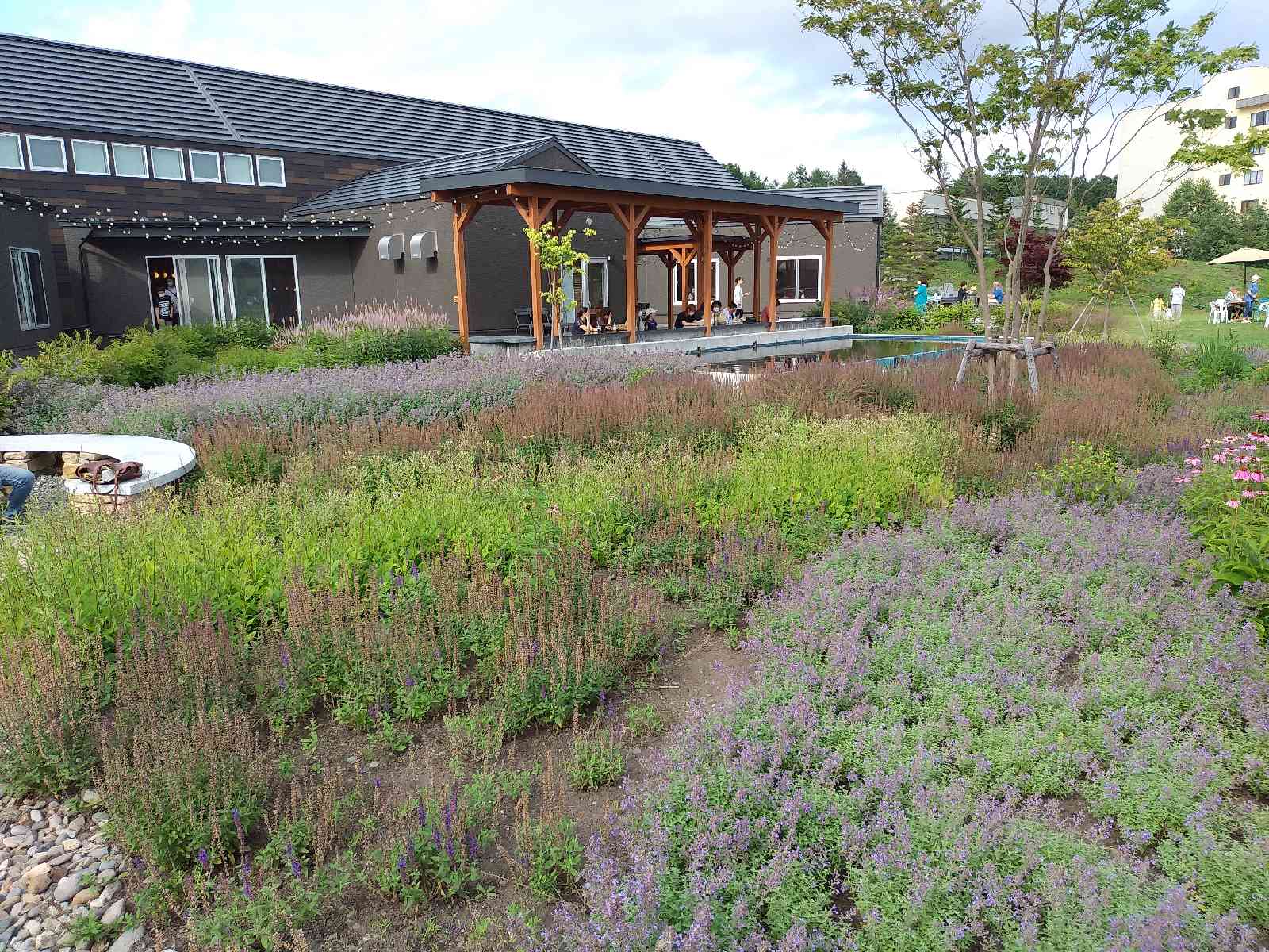 投稿された画像