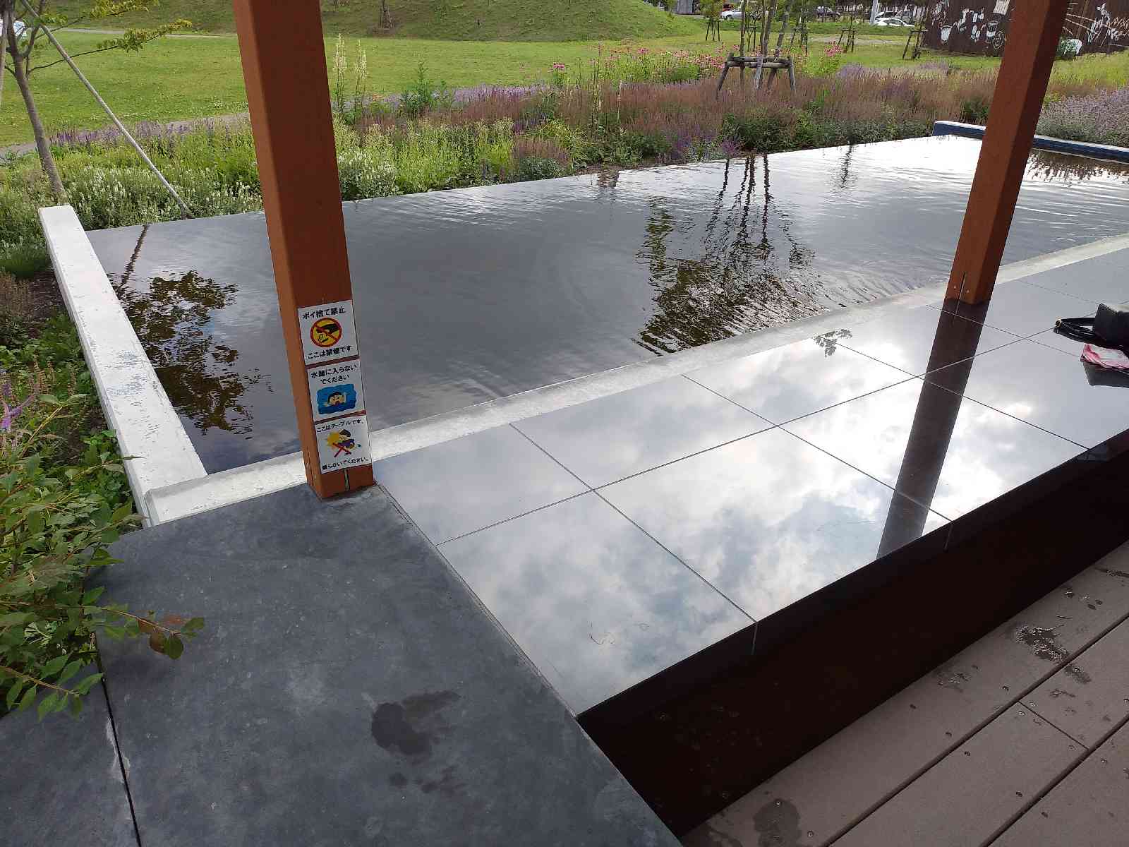 投稿された画像