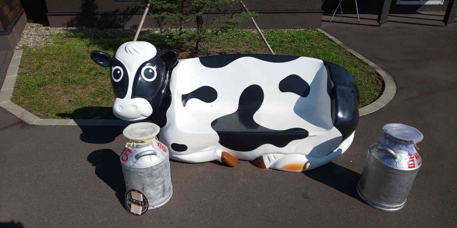 投稿された画像