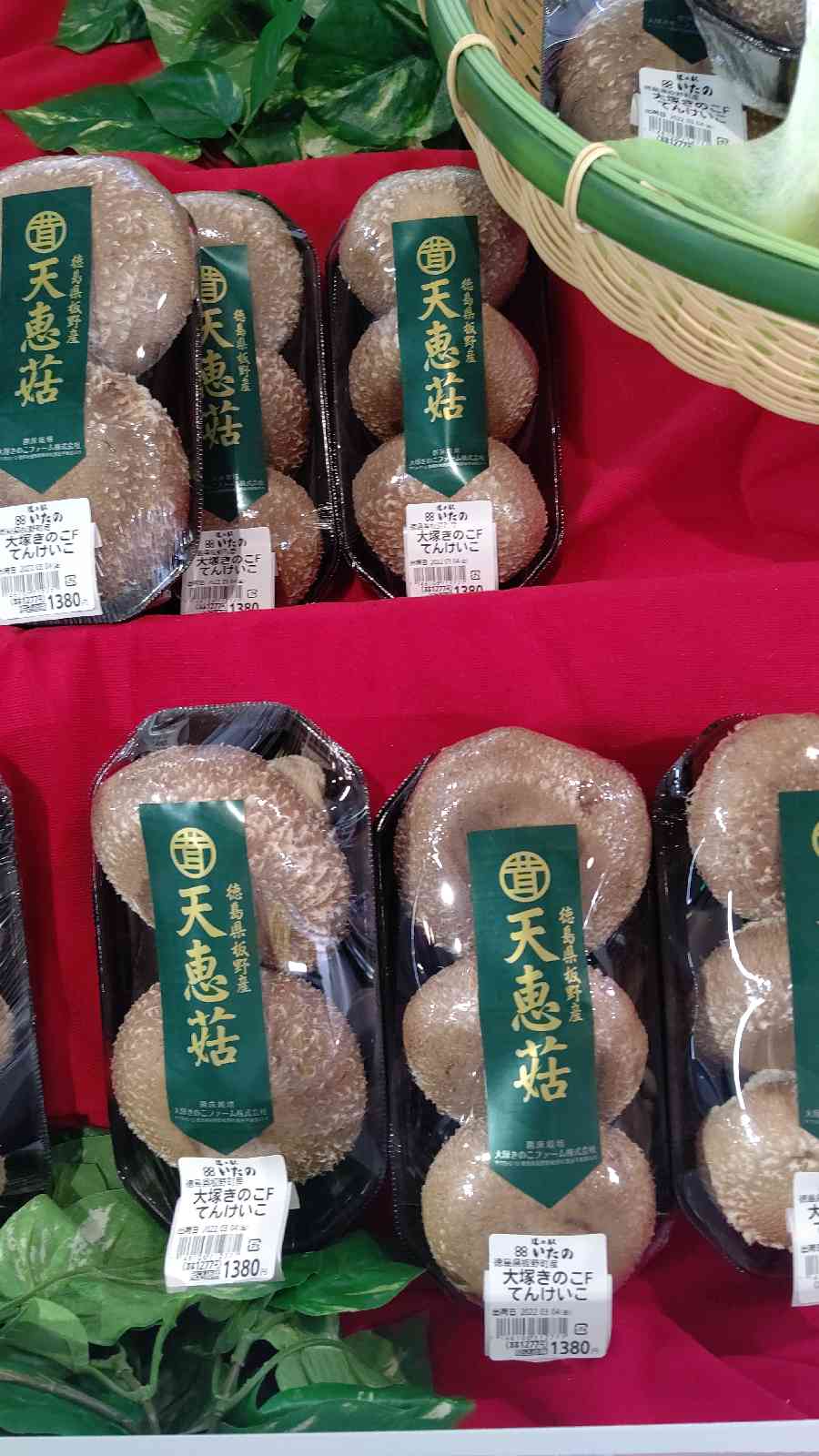 投稿された画像