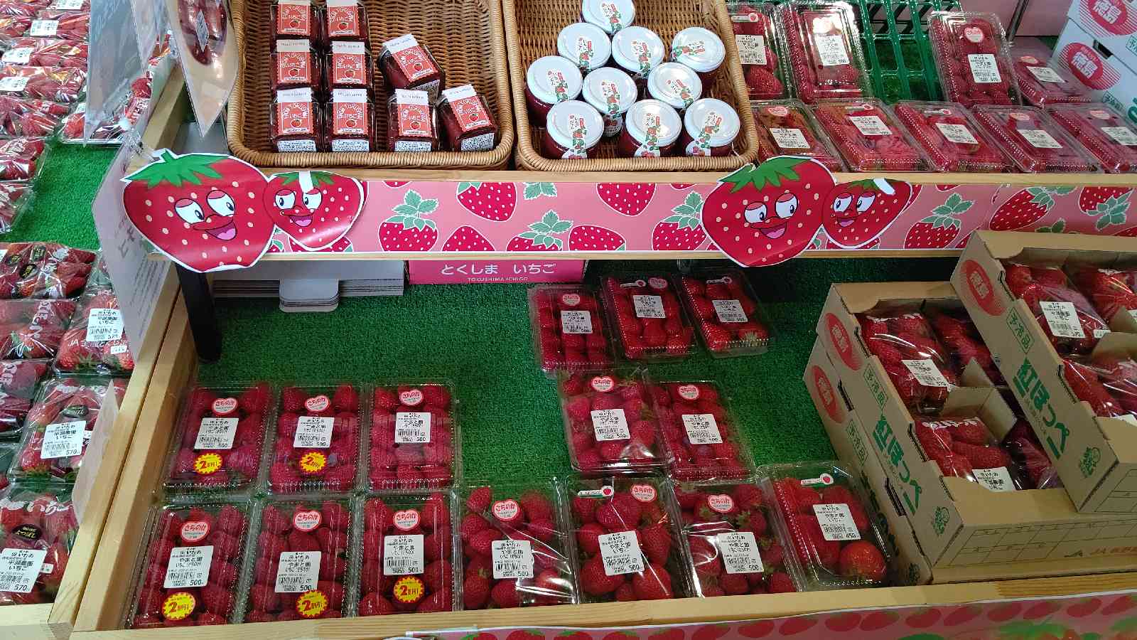 投稿された画像