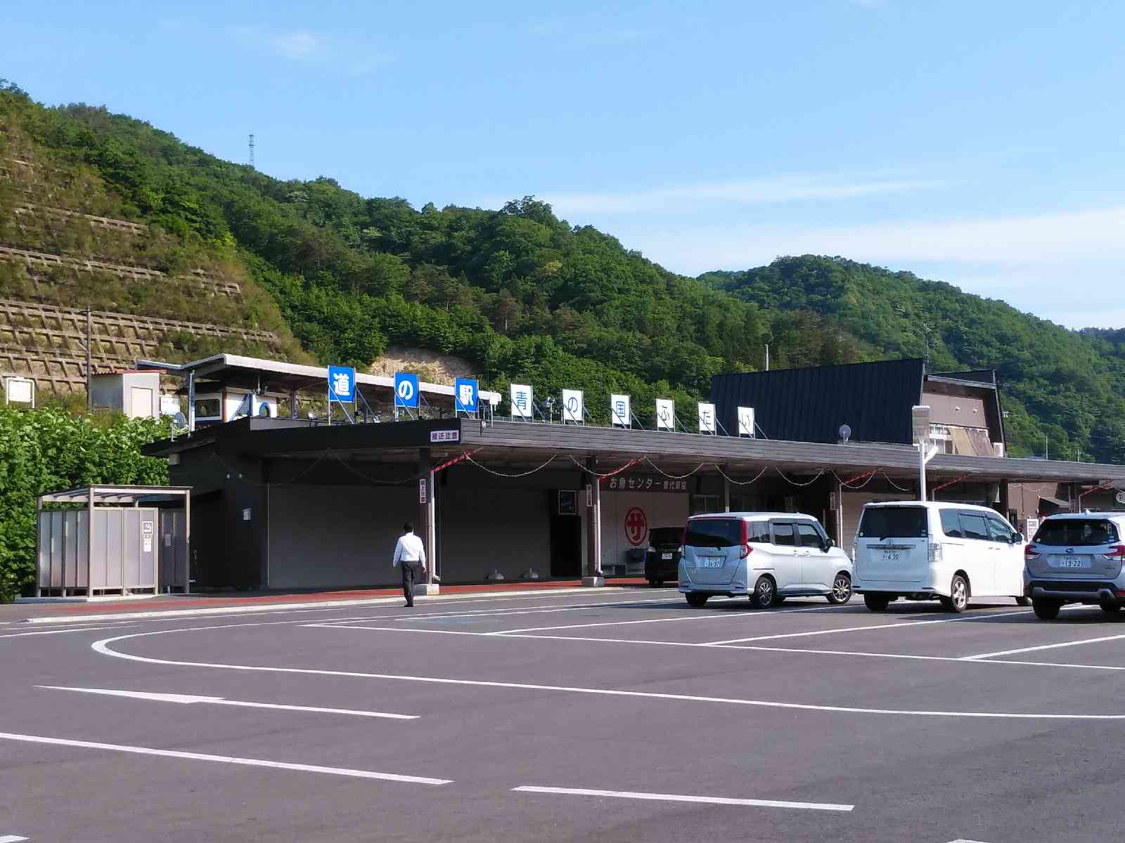 投稿された画像